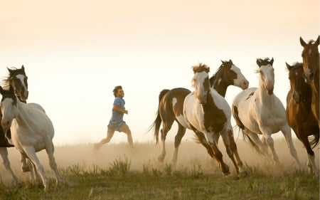 HORSES RUNNING - beauty, power, horse, animals