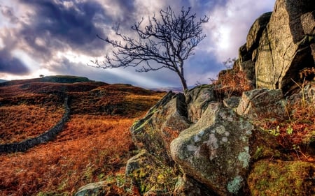 Died Alone Autumn Tree - season, autumn, sky, photography, dry, scencery, mountains, rocks, view, clouds, mounts, hills, died, nature, beautiful, stones, photo