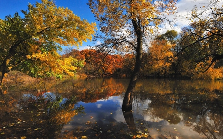 Autumn Lake Trees - scenery, landscape, forest, refelection, photo, leaves, view, lake, sky, clouds, trees, water, beautiful, photography, beauty, nature, season, autumn