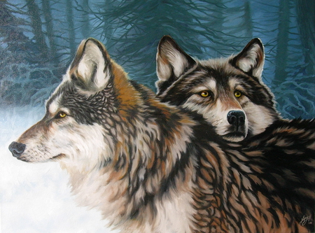 Wolves - animal, wolf, wildlife, snow