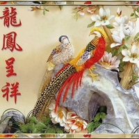 Chinese birds