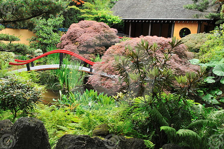 japanese garden - trees, garden, green, grass, place