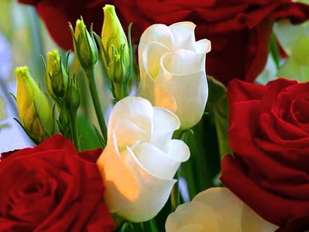 Pair - roses, white, red, green, pair