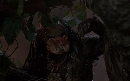 Predator Screenshot - movie, screenshot, entertainment, predator