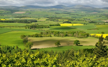 Green Valley - clouds, trees, beautiful, valley, village, mounts, nature, view, green, field, mountains, sky