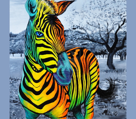 No more black and white - colors, zebra, abstract, stripes