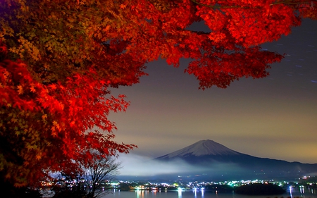 AMAZING AUTUMN - lights, leaves, mountain, night, autumn