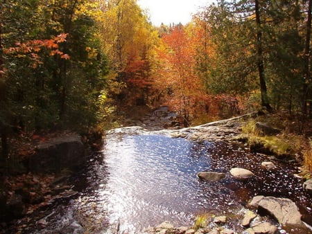 Autumn time - sky, red leaves, plants, river, beautiful, stones, trees, autumn