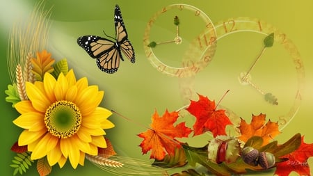 Sunflower for Fall - light, firefox persona, leaves, fall, clocks, sunflower, autumn, green, time, chestnuts, butterfly