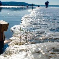 Danbo At The Beach