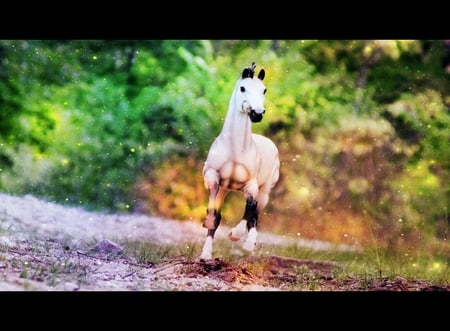 Star Runner - fantasy, stars, breyer horses, horses