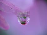 Cosmo Droplet