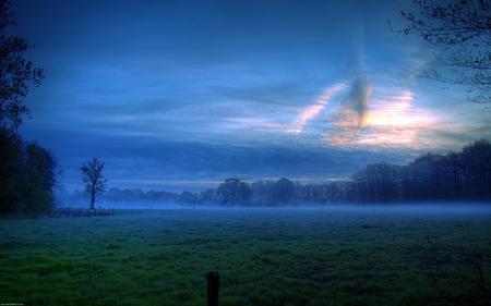 blue landscape - clouds, trees, blue, landscape, grass, color, forest, sky