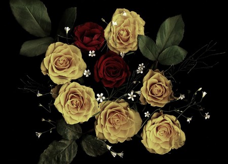 Roses From The Dark  - abstract, roses, dark, goth, black