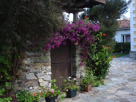 the house with purple flowers - england, flowers, house