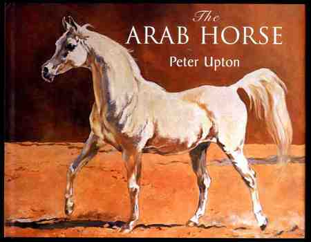 Arab Horse Painting - painting, horses, arab horse, animals, arabian horse