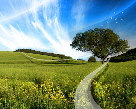 Flying Low In The Meadows - hills, magic, meadow, spring, abstract, tree, flowers, fly, birds