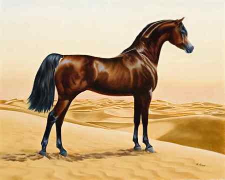 Arab Horse Painting