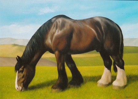 Shire Horse Painting - horses, painting, shire horse, english horse, animals