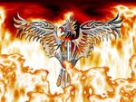 Hell bird