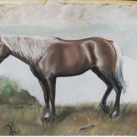 Hafinger Horse Painting