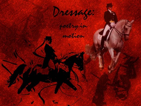 Dressage - abstract, sport, dressage