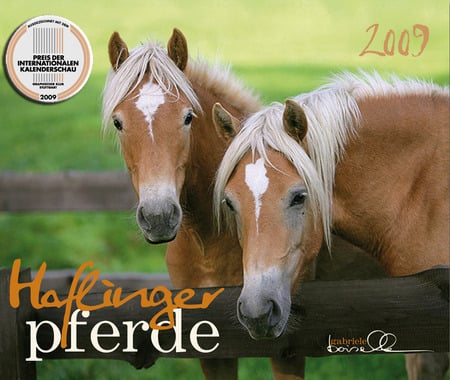 Haflinger Horses - haflinger horse, horses, animals, austrian horse