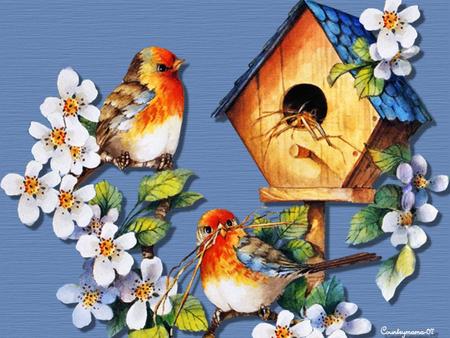 Birdhouse - flowers, birds, birdhouse