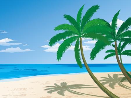 Beach - beach, palm trees, sand