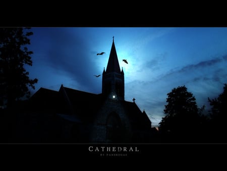 Dark Dank Cathedral - clouds, trees, damp, night, sun, mysterious