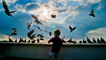 Feeding Doves - doves, sky, feeding, boy, blue, sunny day