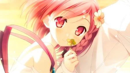 Yua - flower, your diary, anime, sunset, yua