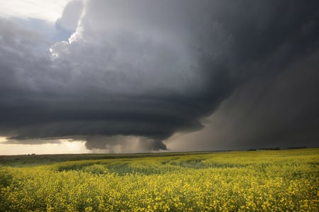 Storm - nature, field, clouds, storm