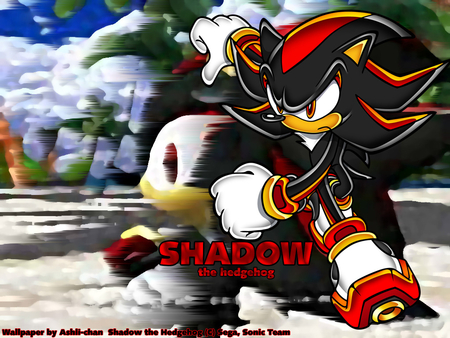 Shadow the Hedgehog - sonic, cool, team, shadow