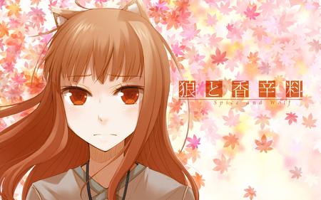 Spice & Wolf ~ In Her Eyes - anime, sad, fox, eyes, spice and wolf, holo