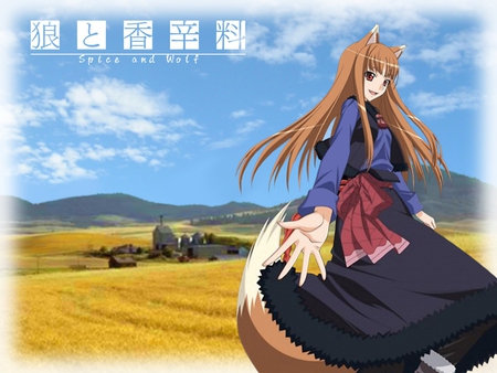 Holo ~ Spice & Wolf - women, spice and wolf, anime, holo