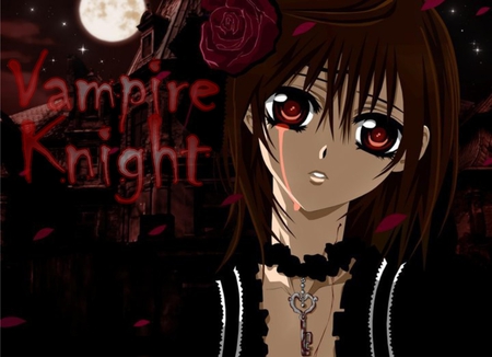 Vampire Knight - vampire, cross, yuki, knight