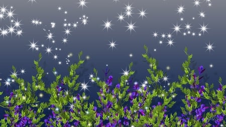 Wild Night Blooms - sky, stars, purple, flowers, sparkles, firefox persona, lavender