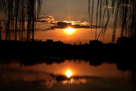 sun reflection - nature, sky, lake, trees, reflection, clouds, sun, sunset