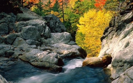 Autumn in Forest - season, autumn, trees, water, mountains, waterfall, nature, view, forest, tall, leaves, stones