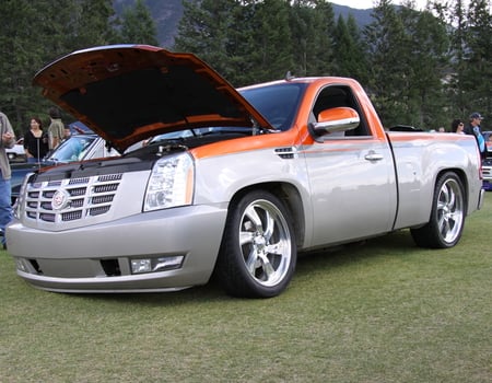 Cadillac at the Radium Hot Springs car show 84  - trees, grass, Photography, orange, cadillac, truck, black, silver, green