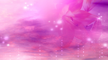 Lily in the Sky - flower, pink, lily, stars, abstract