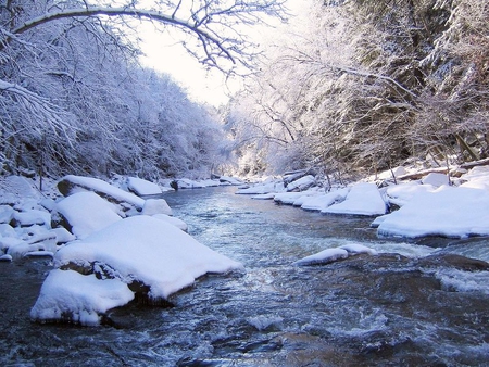 Winter River - sky, trees, water, snow