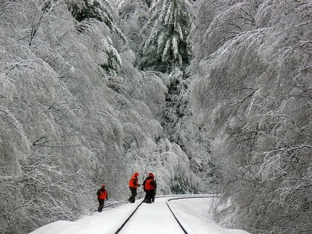 Gone Hunting - hunting, trees, men, snow