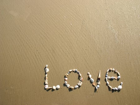 Sandy Love Note - love, note, sandy, shells