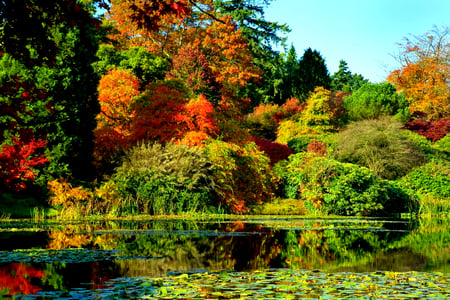 Autumn Colors - beauty, autumn, sky, trees, peaceful, water, fall, view, pretty, reflection, walkers, clouds, green, sunny, tree, grass, lake, landscape, park, yeallow, lovely, plants, ture, nature, autumn colors, woods, forest, red, beautiful, fairy tale, splendor