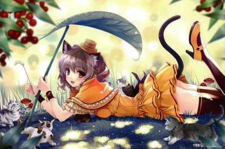 Catgirl - hat, brown eyes, animal ears, dress, blush, brown hair, tail, cat, bed, animal