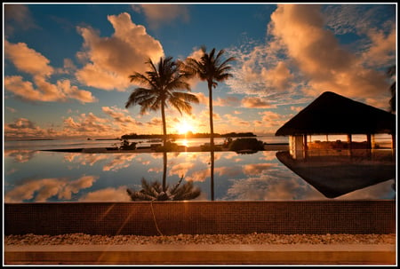 Ideal Resort - sky, palm trees, ocean, palm, reflection, clouds, island, tree, sea, infinity, resort, pool