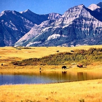 Waterton