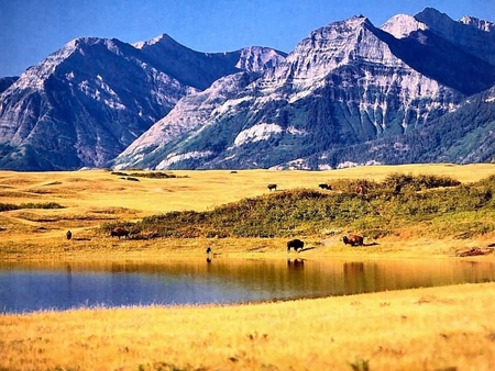 Waterton - canada, natiomal park, mountains, nature